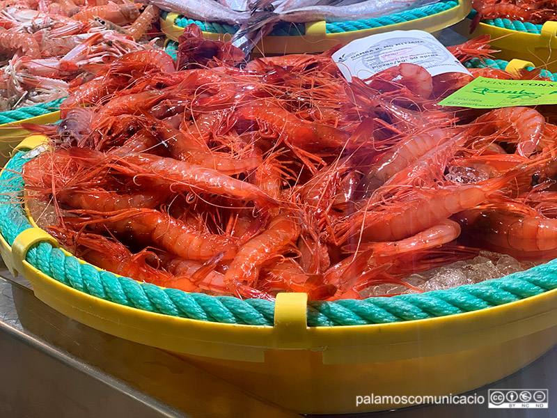 Gambes vermelles en una parada de la llotja del peix de Palamós.