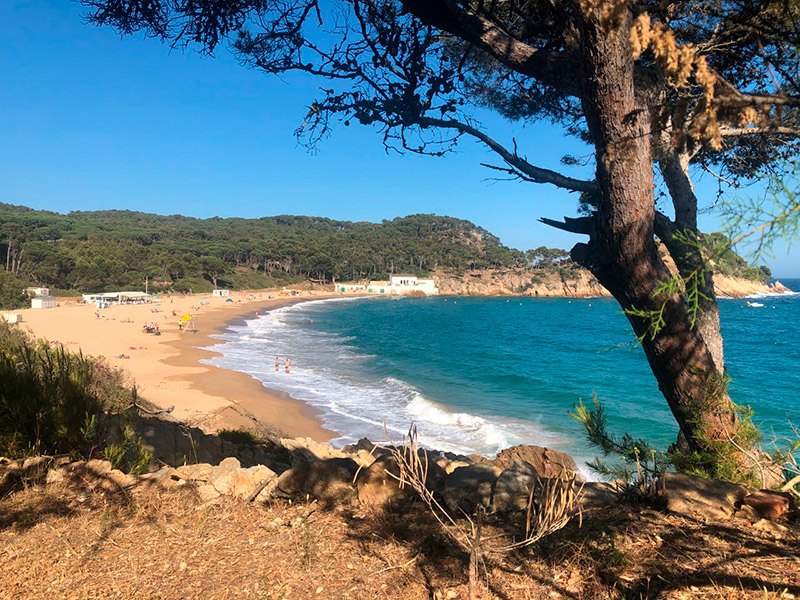 La platja de Castell. (Foto: Institut de Ciències del Mar).