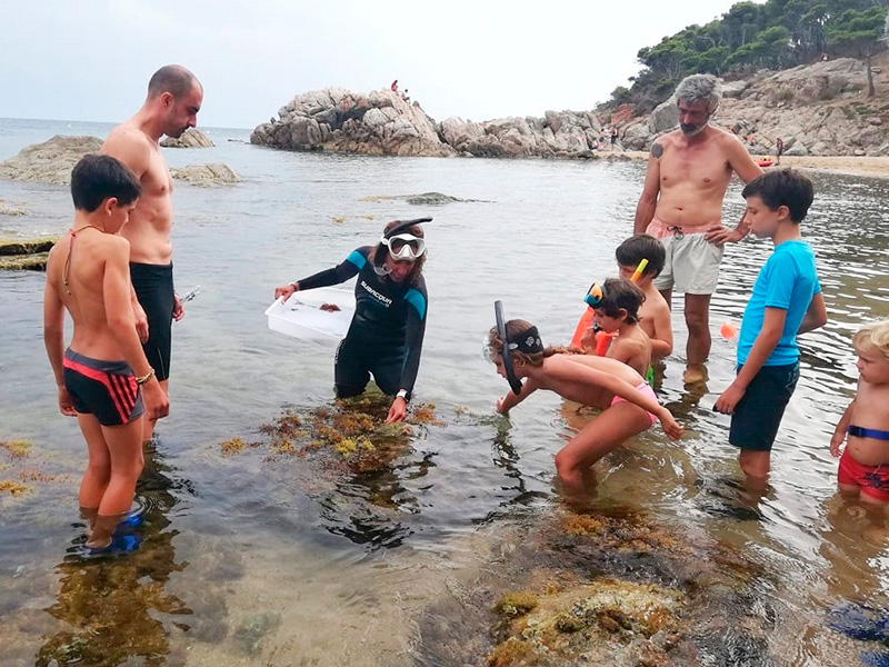 Activitat de descoberta dels boscos marins de cala Estreta. (Foto: Ajuntament de Palamós).