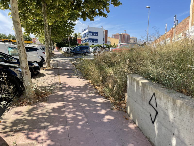 Vegetació i pintades al carrer del Terç dels Napolitans. (Foto: Junt per Catalunya Palamós i Sant Joan).