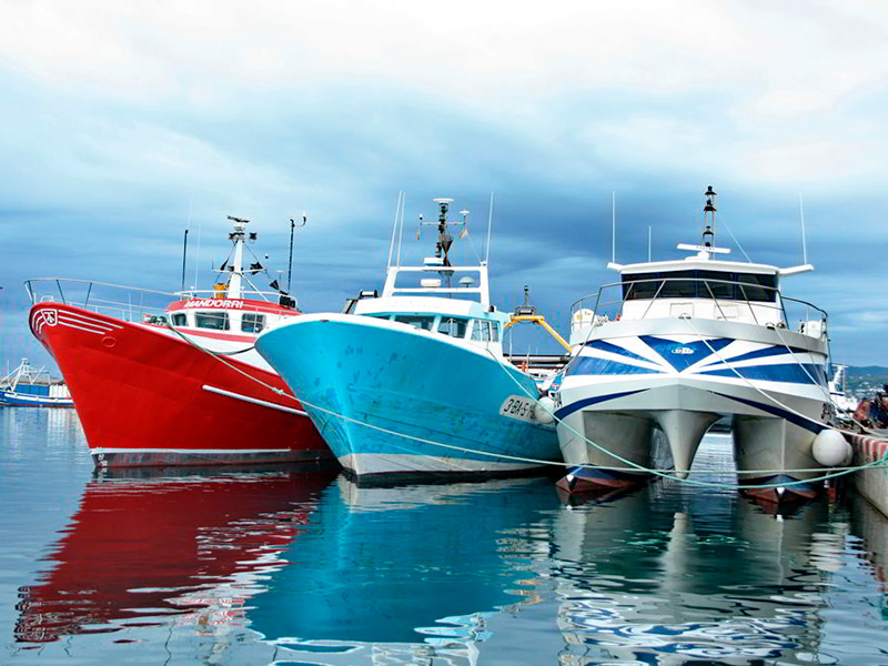 Foto d'arxiu de barques de pesca de Palamós i que avui seran protagonistes d'