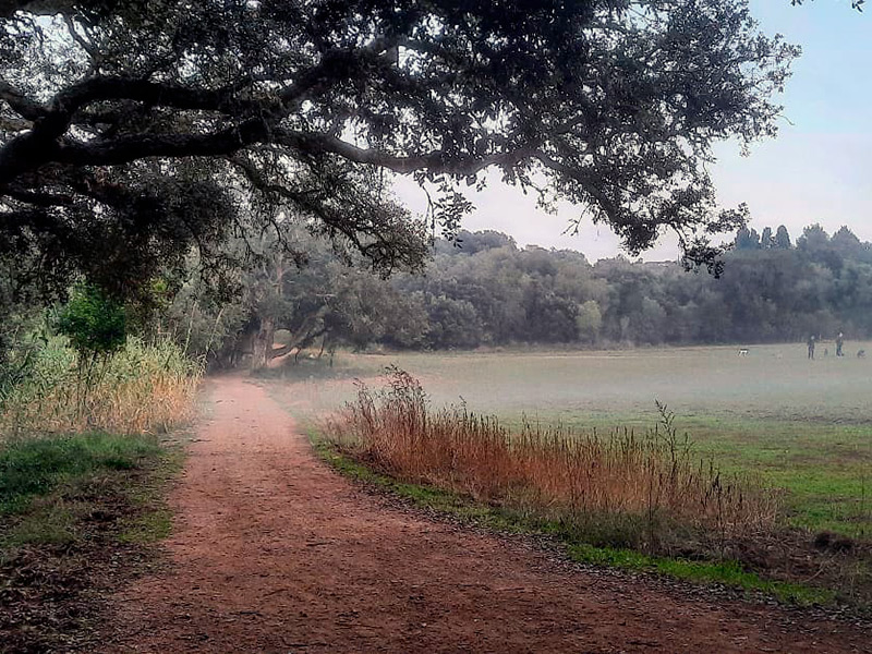 Aquesta darrera setmana hem tingut a Palamós una temperatura mínima de 3,3 graus. (Foto: instagram.com/teresaferres64).
