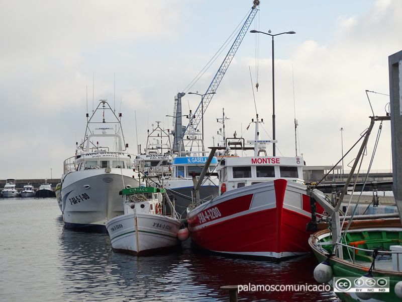 Barques de pesca al port de Palamós.