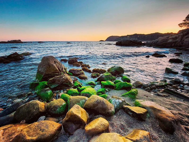 L'alta pressió atmosfèrica d'aquests dies fa baixar notablement el nivell del mar. (Foto: instagram.com/teresaferres64).