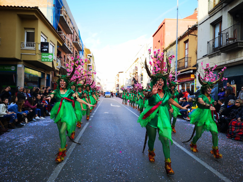 La rua de comparses i carrosses, un dels actes centrals de Carnaval.