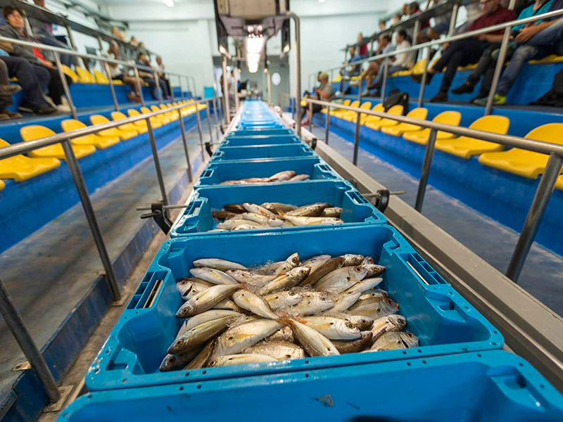 Imatge d'arxiu de la subhasta del peix de Palamós. (Foto: Confraria de Pescadors de Palamós).