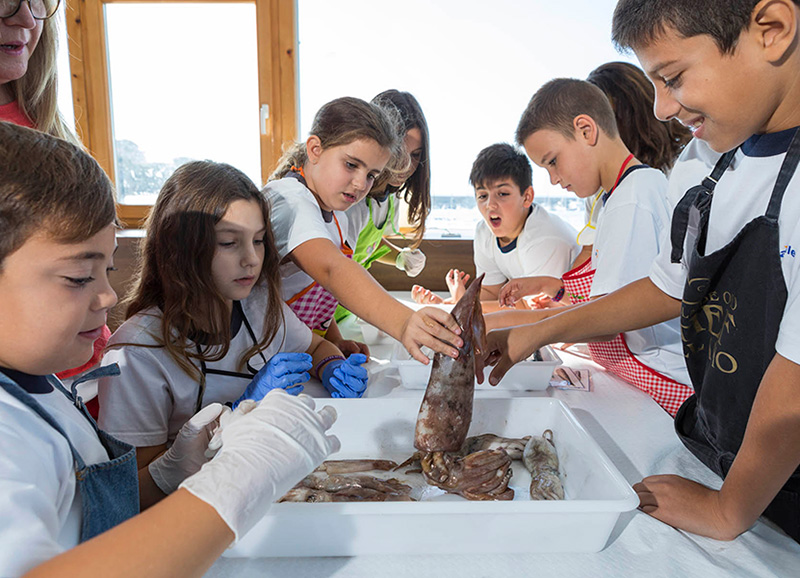 El projecte té com a objectiu augmentar el consum de peix entre els escolars. (Foto: Ajuntament de Palamós).