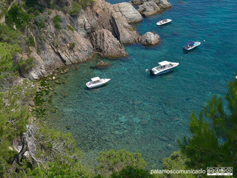 Embarcacions fondejades a Cala Senià.