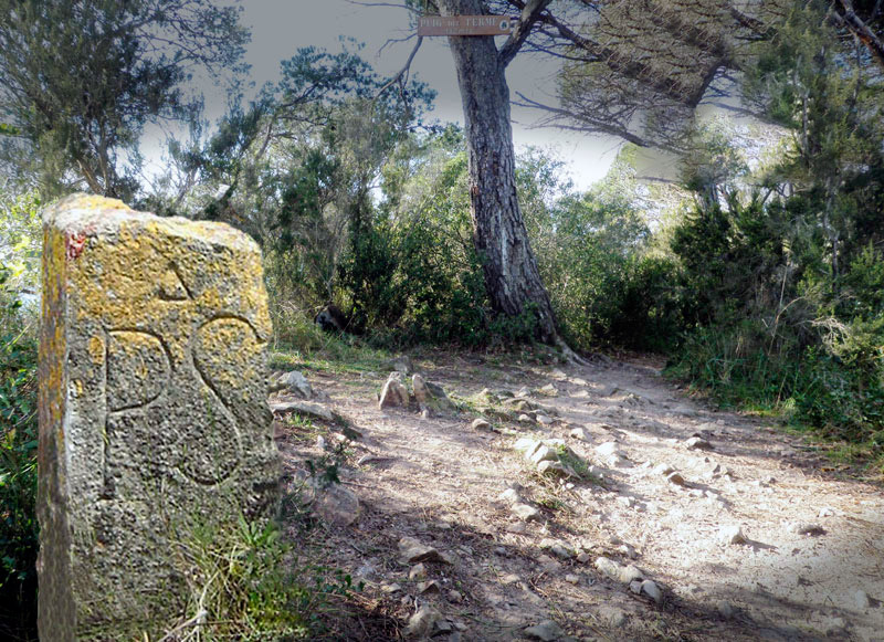 La ruta ressegueix tot el límit de Sant Joan de Palamós. (Foto: Club Alpí Palamós).