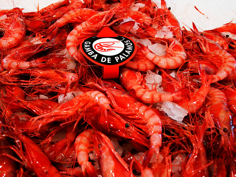 Gamba de Palamós amb el segell de la Marca de Garantia. (Foto: Museu de la Pesca).