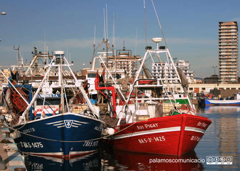 Barques de pesca amarrades al Port de Palamós.