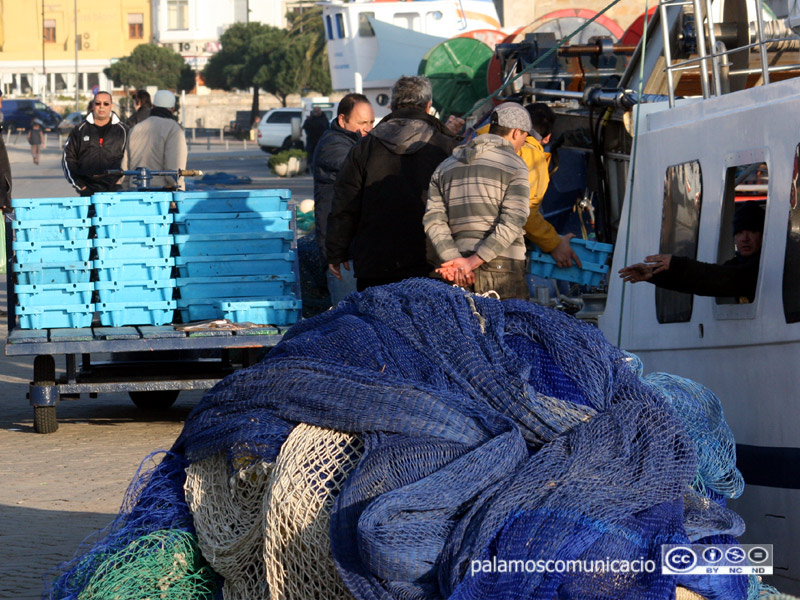 Palamós es converteix durant tres dies en el centre de la pesca sostenible.