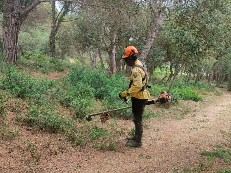 Un membre de l'ADF Gavarres-Marítima, realitzant tasques de prevenció d’incendis. (Foto: Ajuntament de Palamós).