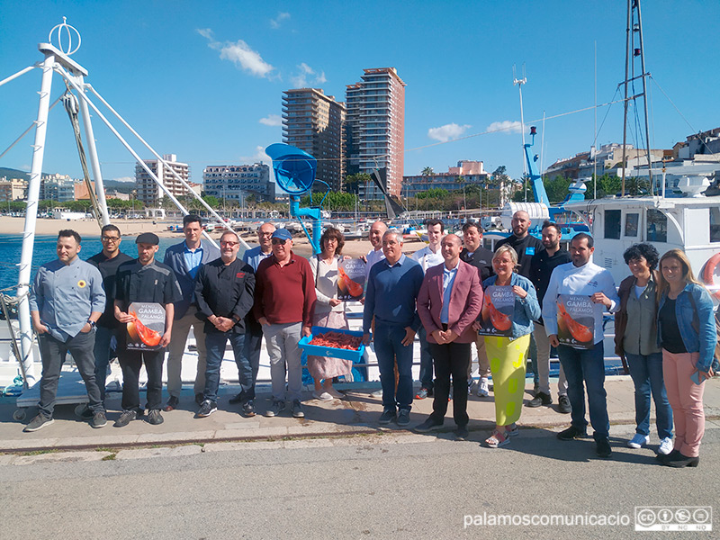 Presentació del Menú de la Gamba al moll, el passat 6 de maig.