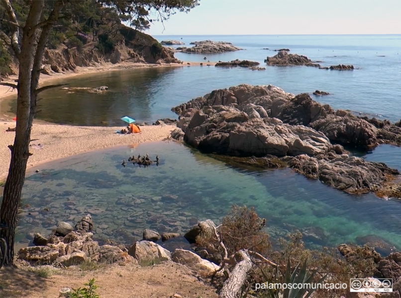 Cala Estreta, al paratge natural de Castell-Cap Roig. 