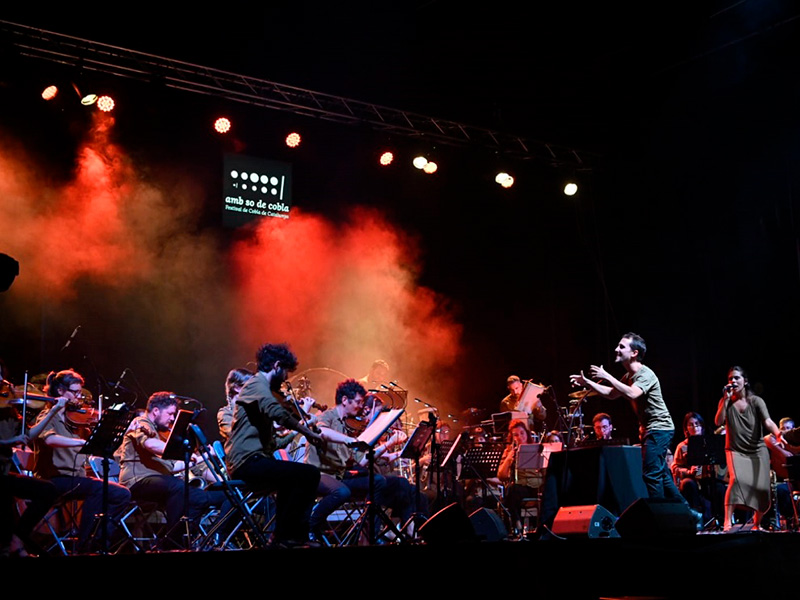 Una de les actuacions del festival 'Amb So de Cobla'. (Foto: Ajuntament de Palamós).
