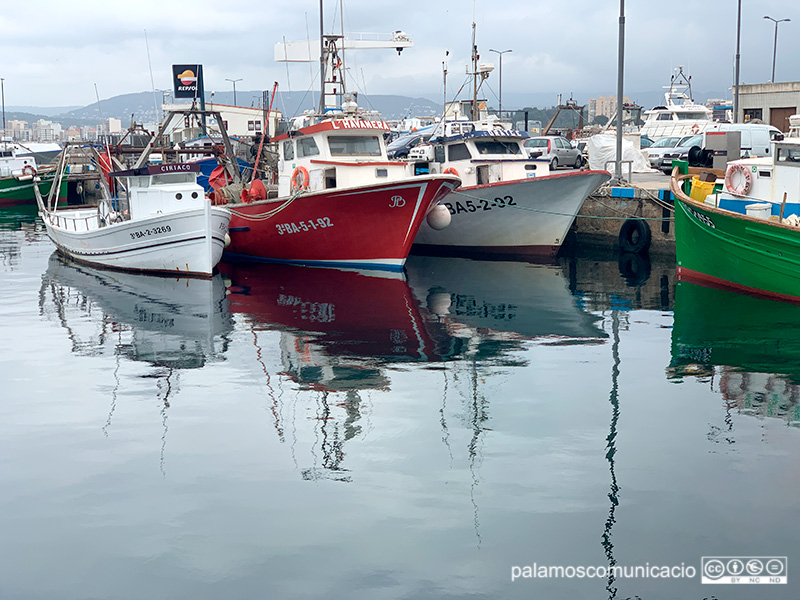 Les barques d'arrossegament no tornaran a feinejar fins al divendres 30 de setembre.