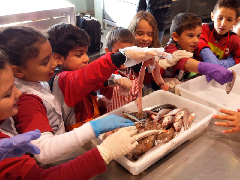 Escolars de Palamós trien peix a la llotja, en una imatge d'arxiu. (Foto: Ajuntament de Palamós).