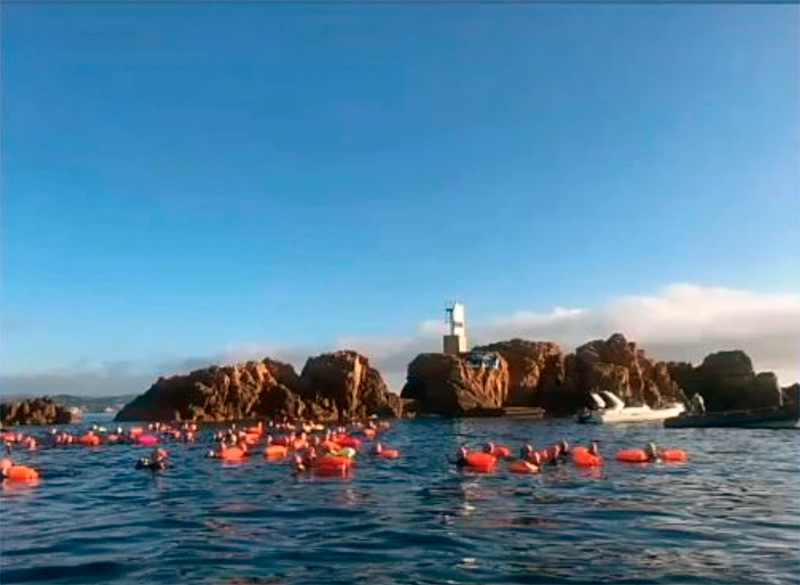 Participants de les Formigues Swim, aquest passat diumenge. (Foto: Club Natació Palamós).