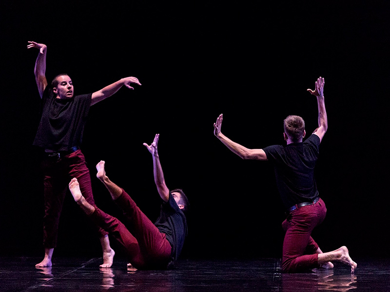 La companyia Arnau Pérez presenta avui el seu espectacle 'Young Blood: Matter of time'. (Foto: Companyia Arnau Pérez).