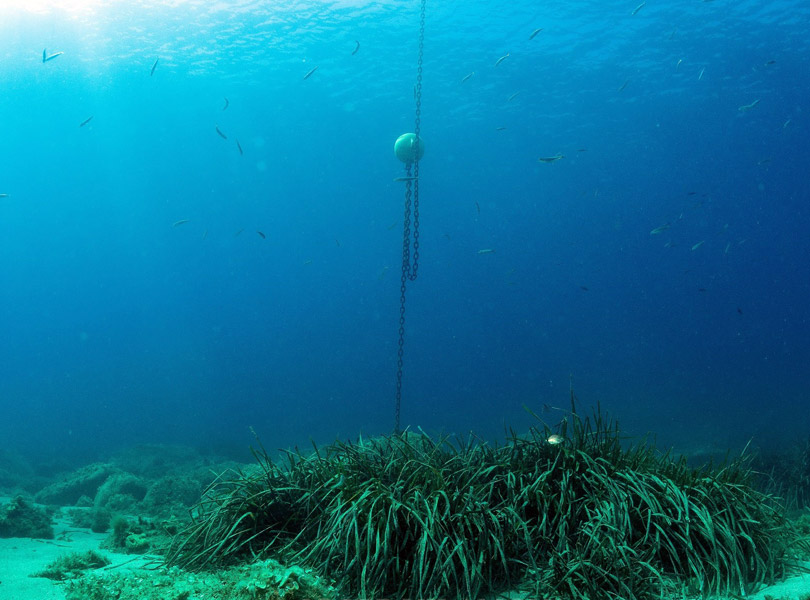 Base i cadenat d'una boia ecològica ubicada al litoral palamosí. (Foto: Ajuntament de Palamós).