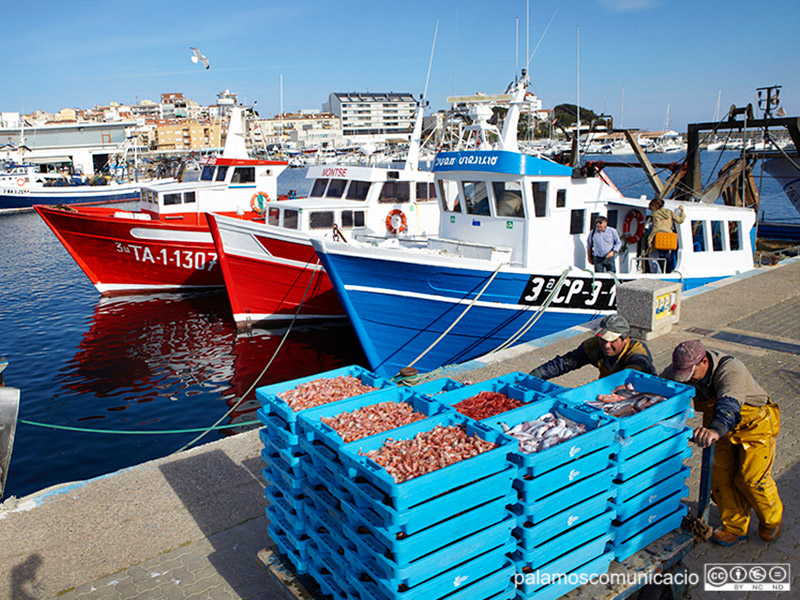 Captures de pesca al port de Palamós, en una imatge d'arxiu.