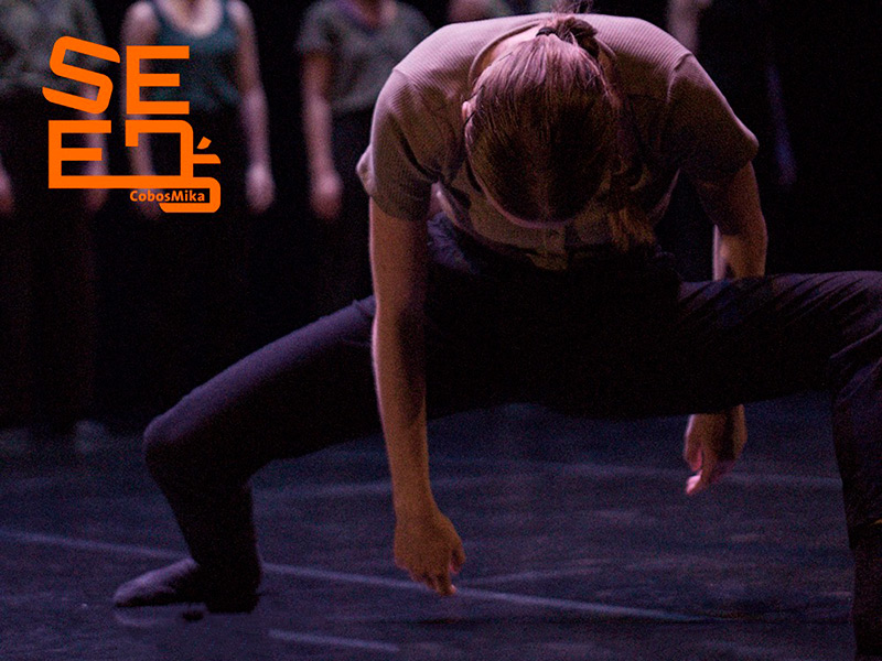 SEED's de Cobosmika Company, avui a les 20:30 a La Gorga. (Foto: Cobosmika Company).