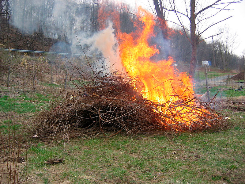 Crema de rostolls en un camp. (Foto: Unió de Pagesos).