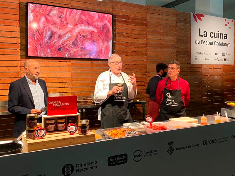 Imatge d'arxiu d'una demostració de cuina amb peix de Palamós al Fòrum Gastronòmic de Girona. (Foto: Ajuntament de Palamós).