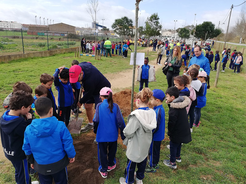 Després de tres anys, divendres va tornar-se a fer la Festa de l'Arbre. (Foto: Ajuntament de Palamós).