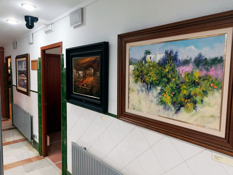 Imatge d'arxiu de part de les obres de Francesc Galí exposades a la Sala d'Actes de l'Ajuntament. (Foto: Ajuntament de Palamós):