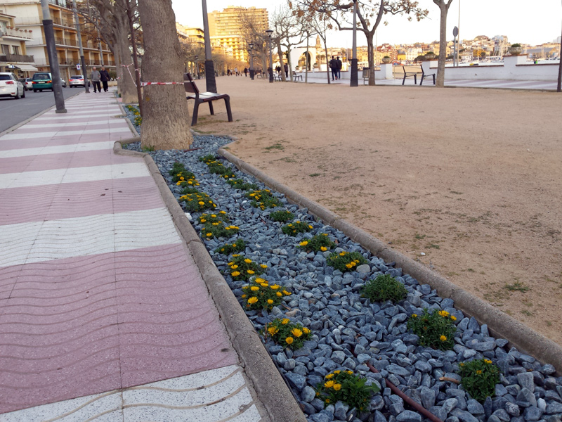 Flors al passeig del Mar de Palamós, (Foto. Ajuntament de Palamós).
