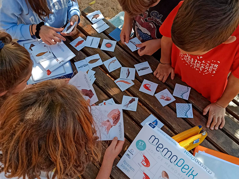 L'acció vol servir per impulsar i divulgar el consum de peix a les escoles i famílies de la comarca. (Foto: Consell Comarcal Baix Empordà).