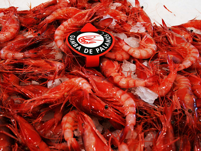 Gamba vermella amb la marca de garantia 'Gamba de Palamós'. (Foto: visitpalamos.cat).