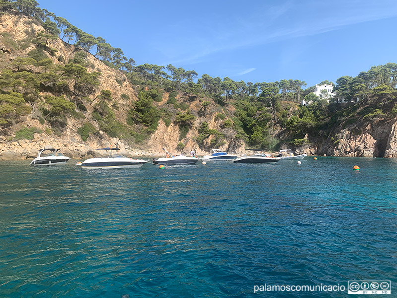 Embarcacions amarrades a les boies instal·lades a Cala Sanià.