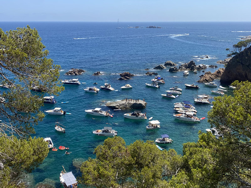 Saturació d'embarcacions fondejades a la cala del Vedell, a Mont-ras, aquest mes d'agost. (Foto: SOS Costa Brava).