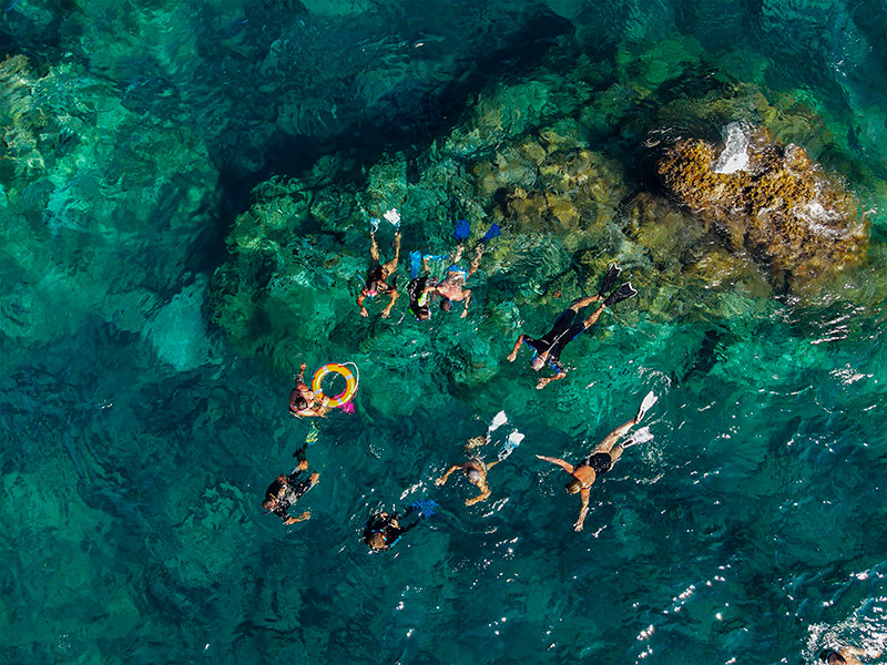 Activitat d'esnòrquel per a la descoberta del fons de les illes Formigues, aquest passat diumenge. (Foto: Jonathan Leys - Ajuntament de Palamós).