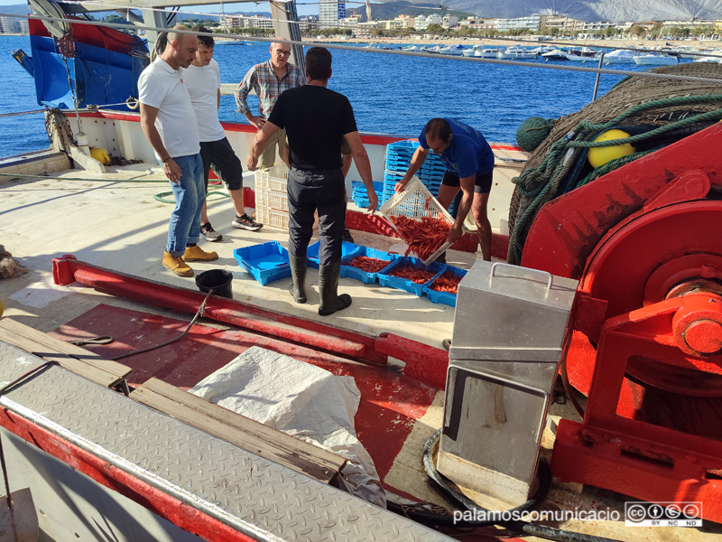 Els restauradors en el moment de recollir la gamba pescada.