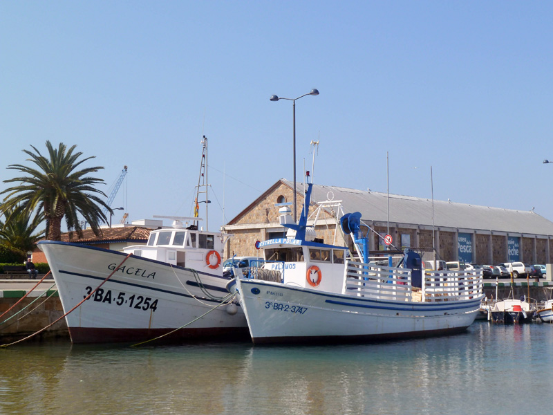 El Museu de la Pesca organitzarà un recorregut d'autodescoberta. (Foto: Ajuntament de Palamós).