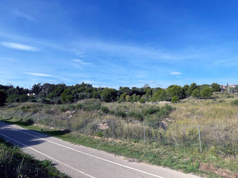 Terrenys pròxims al Collet on es vol crear el Parc Urbà. (Foto: Ajuntament de Calonge i Sant Antoni).