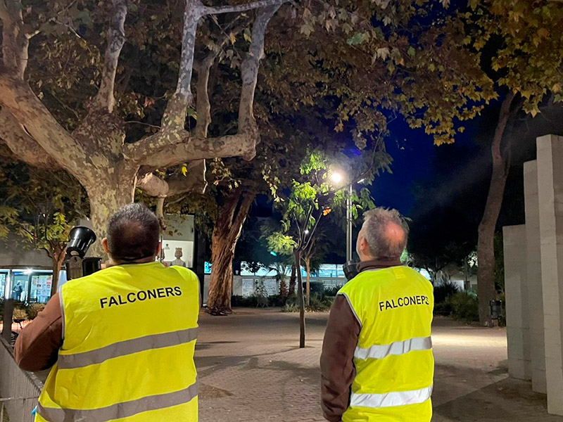 Operaris especialitzats en foragitar aus, la passada setmana a la Plaça dels Països Catalans. (Foto: Ajuntament de Palamós).