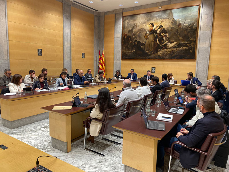 Sessió del Ple Extraordinari de la Diputació de Girona celebrat ahir. (Foto: Diputació de Girona).