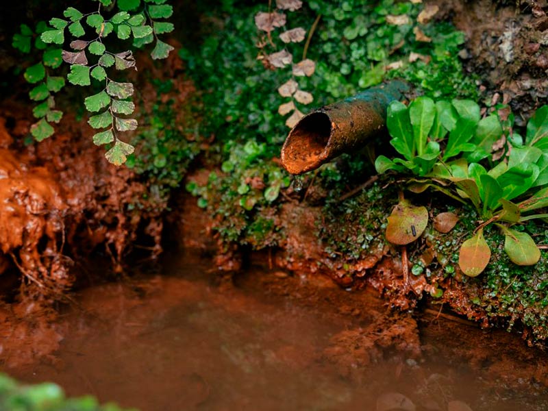 La Font del Sot, a Dosrius. (Foto: Galdric Mosoll - CREAF).
