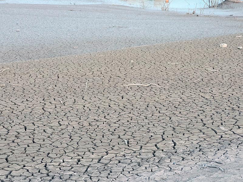 Es pot participar en el concurs fins al 24 de març. (Foto: Agència Catalana de l'Aigua).
