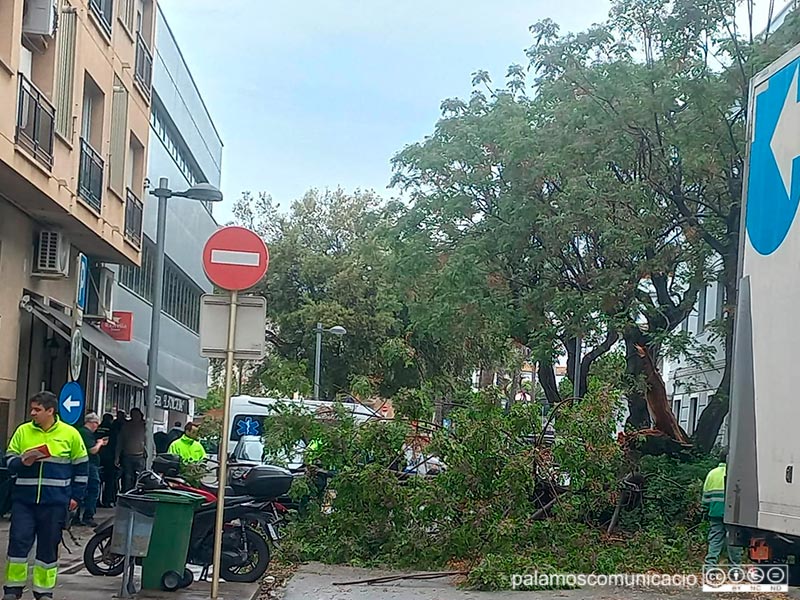 L'incident s'ha produït just davant de la caserna de la Guàrdia Civil de Palamós.