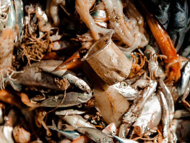El 95% de residus que hi ha a la Mediterrània són plàstics o microplàstics. (Foto: Pesca Neta).