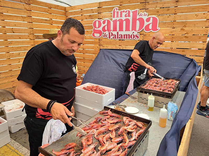 La Fira de lla Gamba de Palamós va vendre més de 250 quilos de gamba. (Foto: Ajuntament de Palamós).