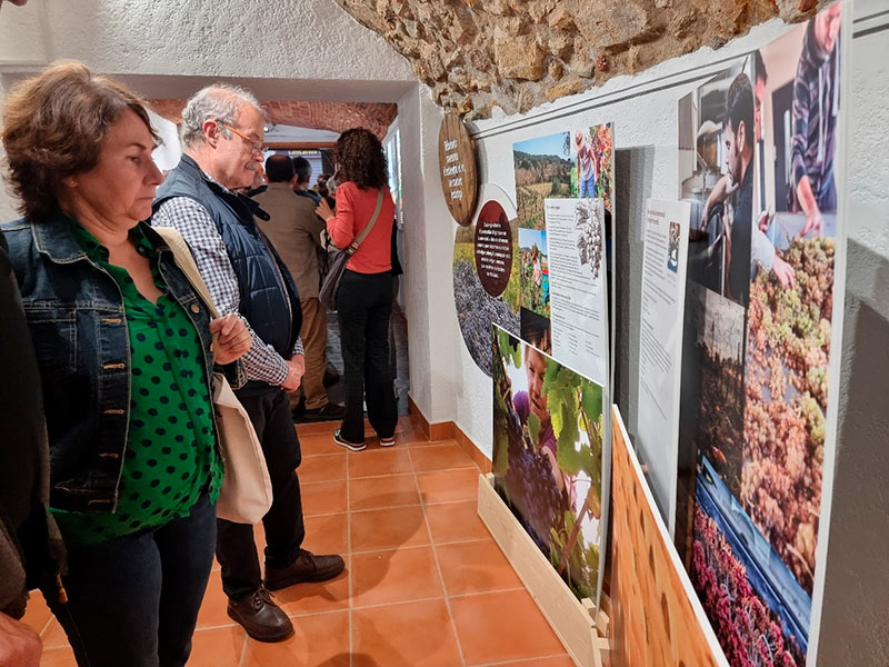El Centre d'Interpretació del Vi de Calonge. (Foto: Ajuntament de Calonge i Sant Antoni).