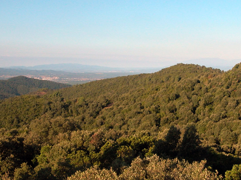 L’Espai d’Interès Natural del massís de les Gavarres. (Foto: Diputació de Girona).