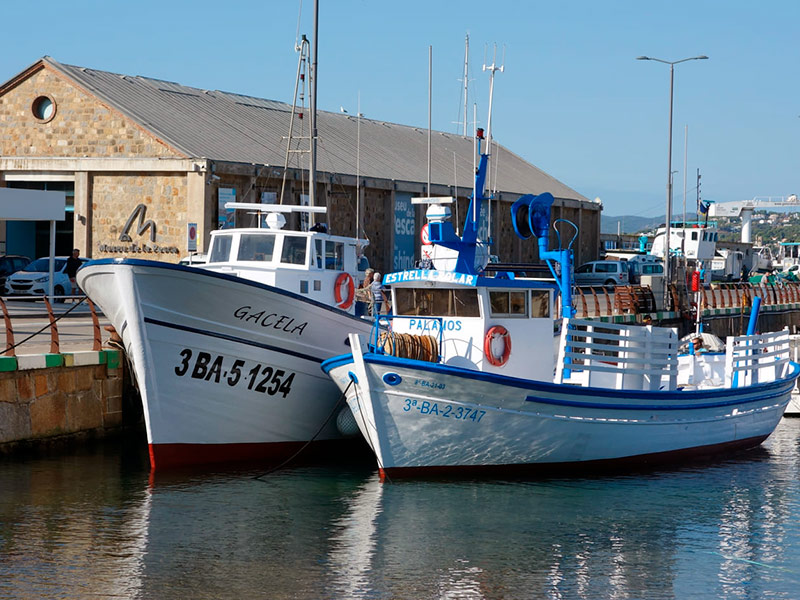 Les embarcacions de la divisió flotant del Museu de la Pesca de Palamós.